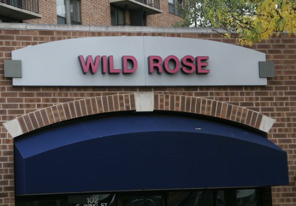 Wild Rose.  LED Channel letters on panel.
